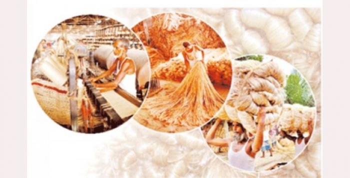 সুদিন ফিরছে সোনালি আঁশের ॥ রফতানি বাড়ছে পাট ও পাটজাত পণ্যের